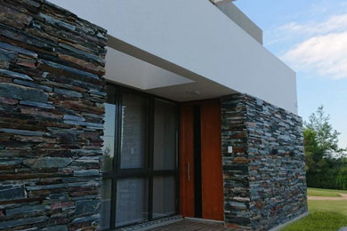 Imagen de puerta principal minimalista grande con paredes blancas, suelo de piedra caliza, puerta pivotante, puerta de madera oscura, suelo gris y casetón
