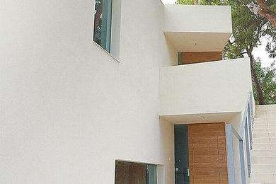 Diseño de puerta principal contemporánea grande con paredes blancas, puerta simple y puerta de madera en tonos medios