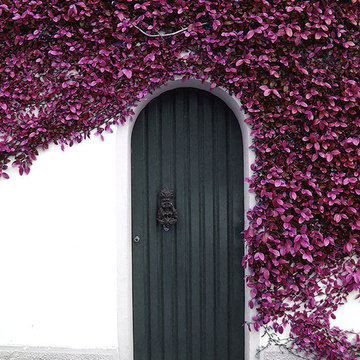 Beautiful, Inspirational, and just Quirky Front Door Designs