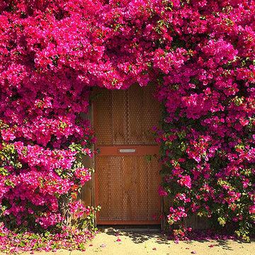 75 Pink Front Door Ideas You'll Love - April, 2024 | Houzz
