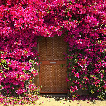Beautiful, Inspirational, and just Quirky Front Door Designs
