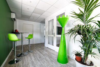 Cette image montre un hall d'entrée design avec un mur vert, un sol en vinyl, une porte simple, une porte blanche et un sol gris.