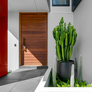 2019 Gold Award - Plantscape, Octopus Garden Design