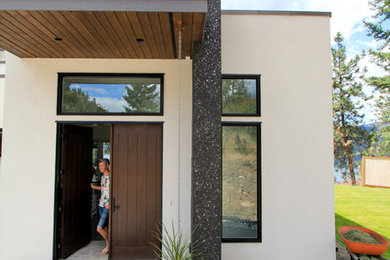 Example of a mid-sized minimalist concrete floor and gray floor entryway design in Other with white walls and a dark wood front door