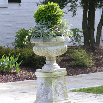 A Boxwood anchors this urn with annual flowers at front entry