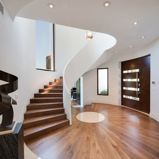 Ejemplo de distribuidor contemporáneo, grande, con paredes blancas, suelo de madera en tonos medios, puerta de madera oscura y puerta pivotante