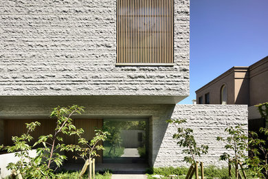 Exempel på en stor modern ingång och ytterdörr, med vita väggar, betonggolv, en enkeldörr, mellanmörk trädörr och grått golv