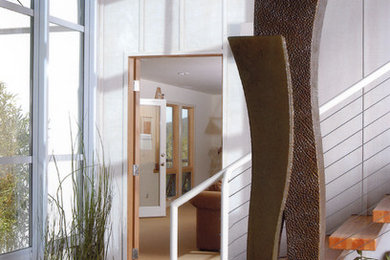 Inspiration for a contemporary entryway remodel in San Francisco