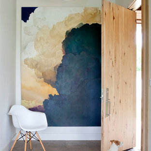 Diseño de entrada contemporánea con puerta simple y puerta de madera clara