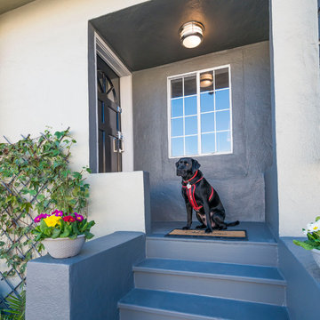 Black Dog and Grey Entry with Black Door