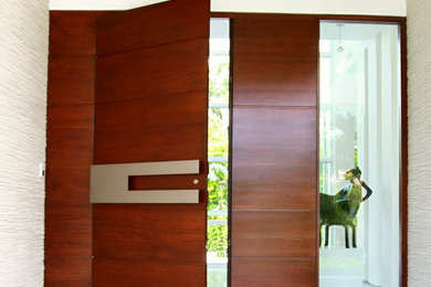 Borano Modern Doors