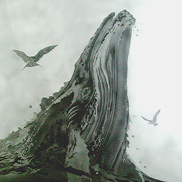 "Breaching Whale" Etched Glass Panel