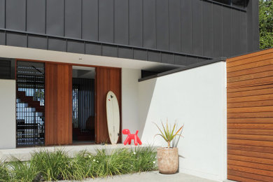 Diseño de puerta principal actual grande con paredes blancas, suelo de madera clara, puerta pivotante y puerta de madera en tonos medios