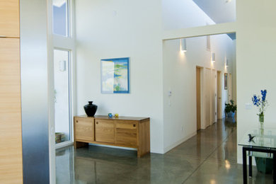 Example of a minimalist concrete floor and green floor entryway design in Los Angeles