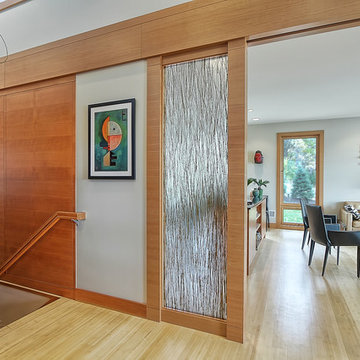 Casel Contemporary Lake Home