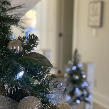 Christmas/Holiday Decorating