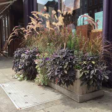 Container plantings