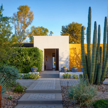 Contemporary Courtyard, Driveway, & Backyard