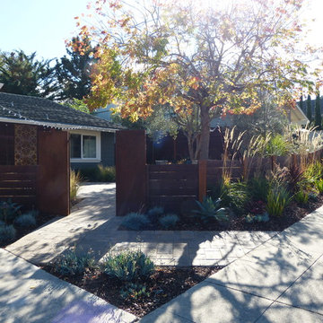 Contemporary Front Yard