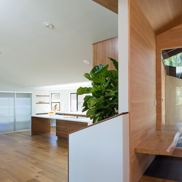 Contemporary whole house remodel