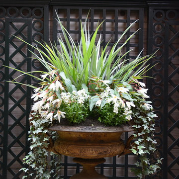 Courtyard Garden