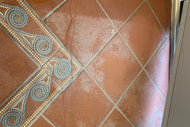 トロントにあるお手頃価格の小さな地中海スタイルのおしゃれなマッドルーム (テラコッタタイルの床、赤い床) の写真