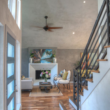 Entry & Living Room with Custom Veneer Plaster on Walls & Ceiling