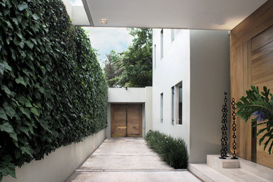 Inspiration for a contemporary front door remodel in Mexico City with a light wood front door