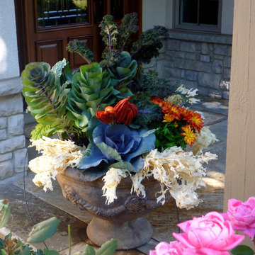 Fall Containers
