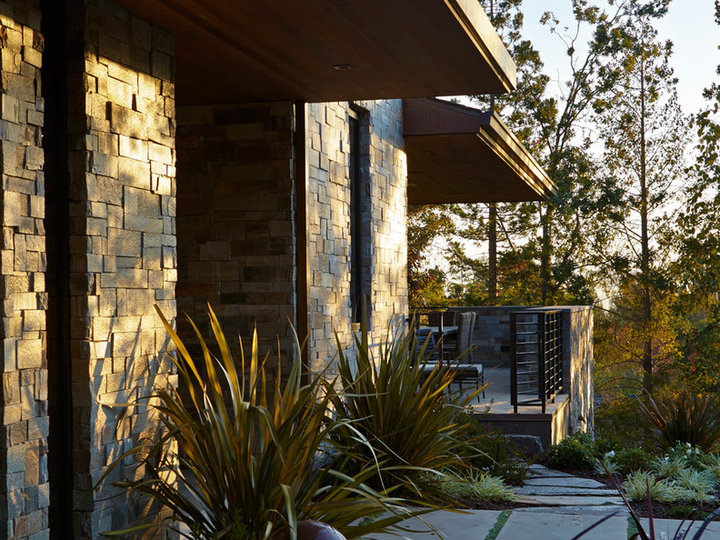 Modern Entry - Front Door