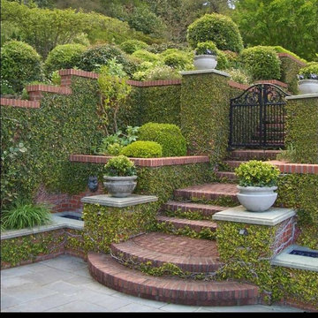 Garden Elements - Steps & Ivy Covered Walls