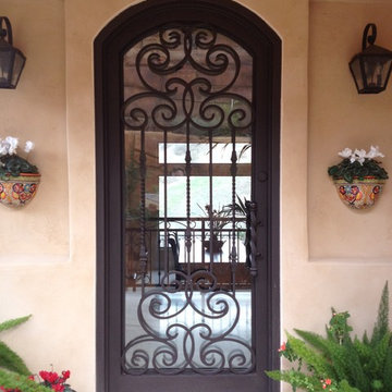 Glass & Iron Entry Door