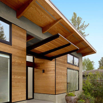 Golden Oak