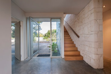 Imagen de entrada contemporánea pequeña con suelo de cemento, puerta pivotante y puerta de madera en tonos medios