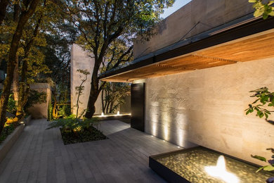 Entryway - contemporary entryway idea in Mexico City