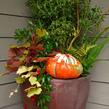 Holiday Container Gardens