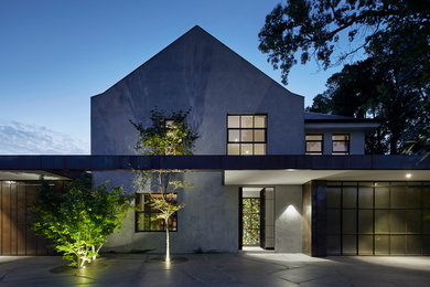 Источник вдохновения для домашнего уюта: большая входная дверь в стиле модернизм с серыми стенами
