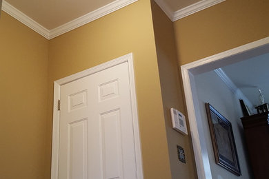 Trendy single front door photo in Other with beige walls and a brown front door