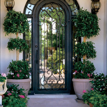 Iron Doors