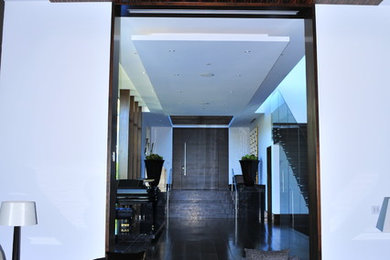 Inspiration for a contemporary entryway remodel in San Diego