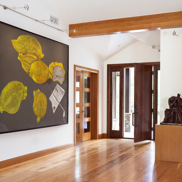 Lake View Contemporary