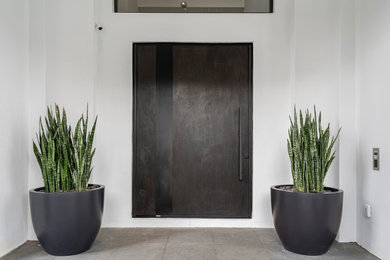他の地域にあるラグジュアリーな広いコンテンポラリースタイルのおしゃれな玄関ドア (白い壁、濃色木目調のドア、グレーの床) の写真