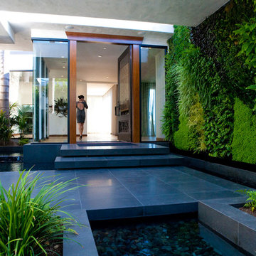 Lush Modern Entry