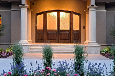 Double front door - traditional double front door idea in Minneapolis with a dark wood front door