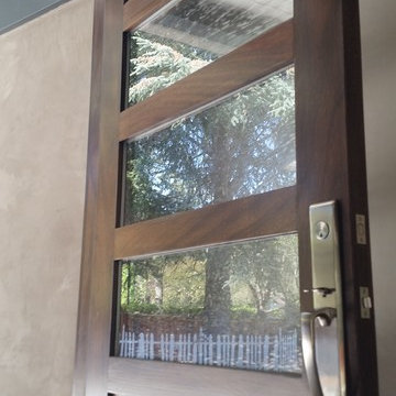 Mahogany Entry door - Modern design