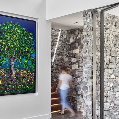 Inspiration for a large modern concrete floor and gray floor pivot front door remodel in Sunshine Coast with white walls and a glass front door