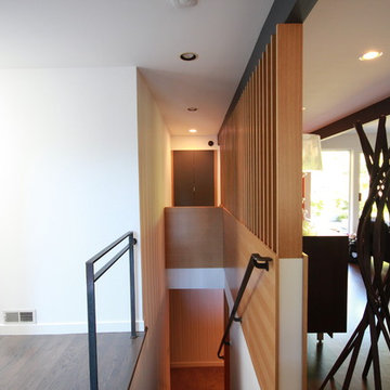 Mid Century Modern Remodel
