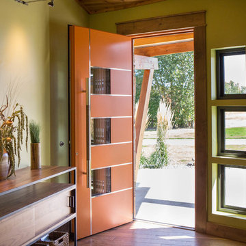 Modern Decorative Entry Door