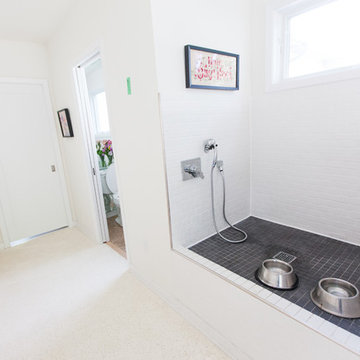 Modern Dog Wash