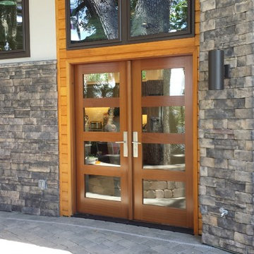 Modern Door